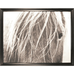 Framed Photography Horses 
