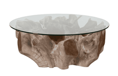 Halsey Teak Root Coffee Table w/Tempered Glass