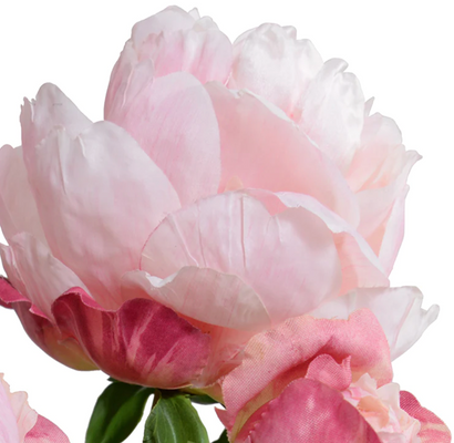 Pink Peony Cutting in Porcelain