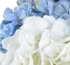 Hydrangea Blue & White Arrangement