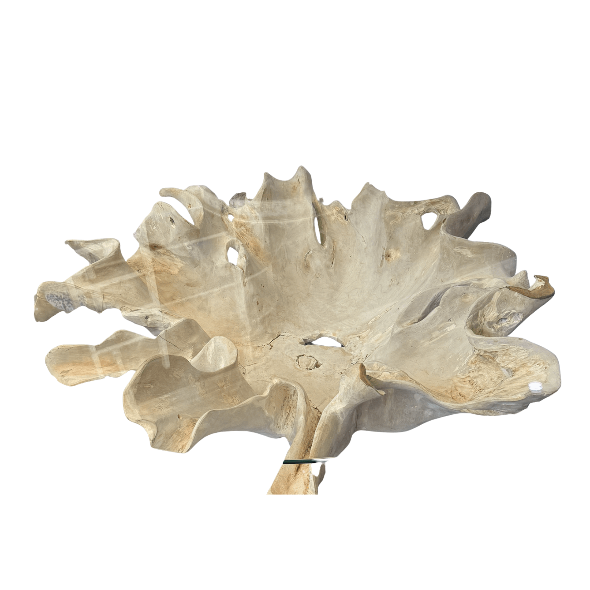 Natural teak root coffee table base