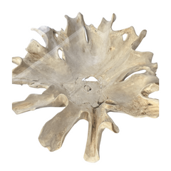 Decorative shell with a textured surface on a white background