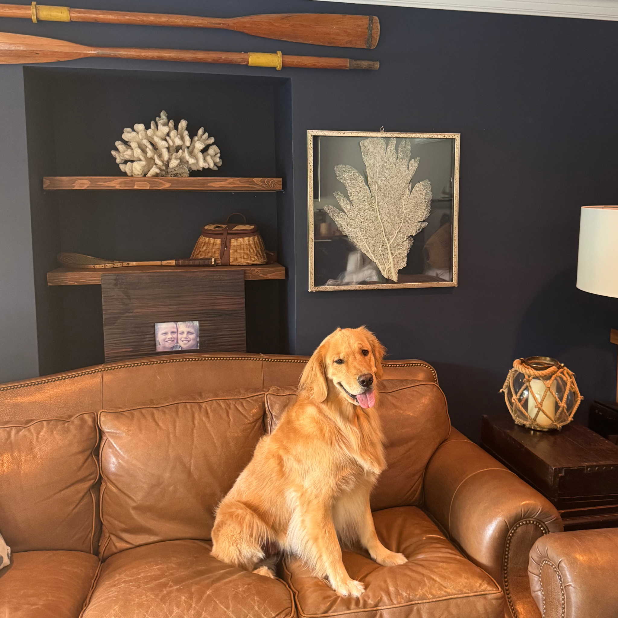 Sea Fan Art 2 - In Stock