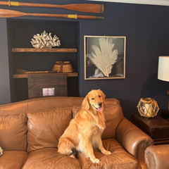 Sea Fan Art 2 - In Stock