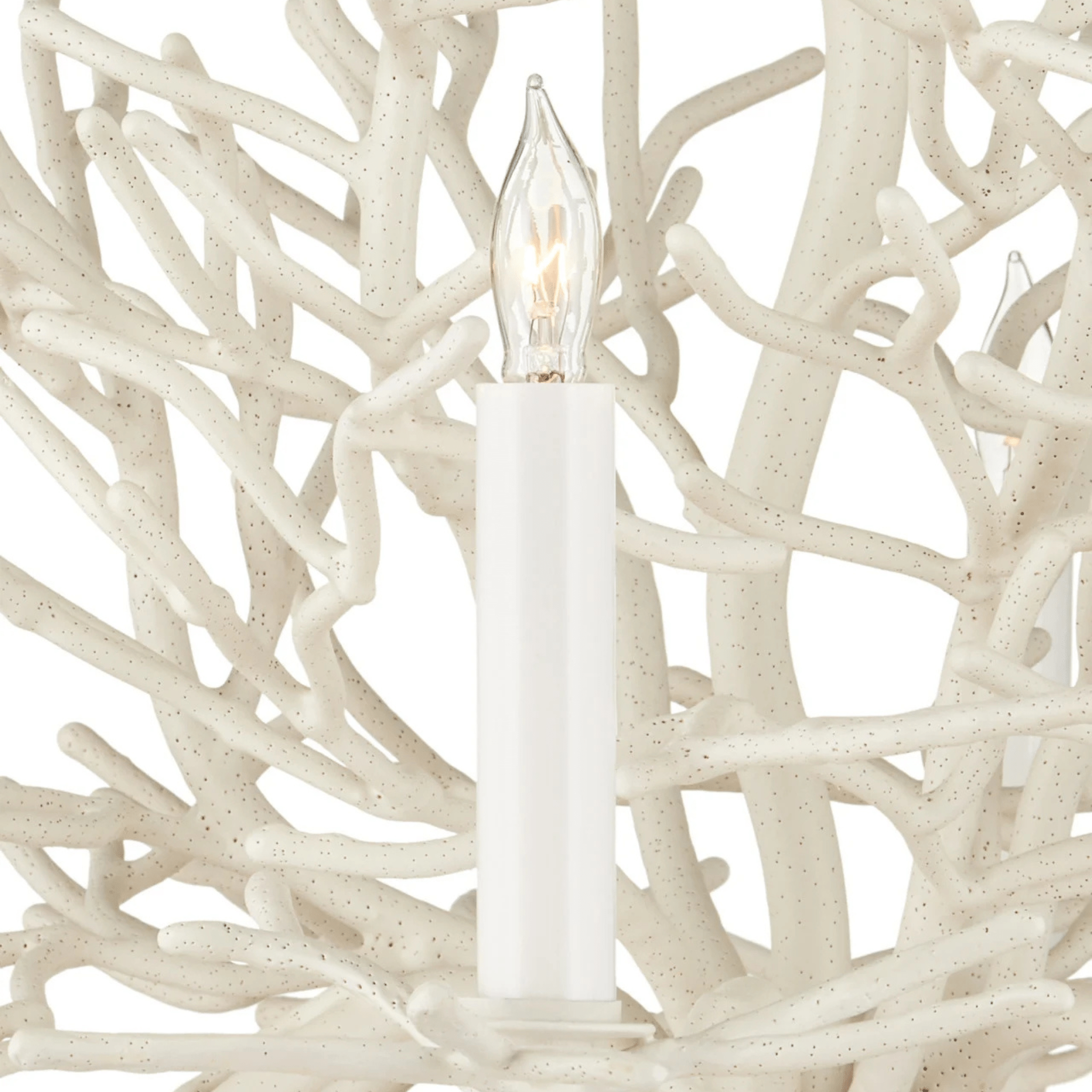 Antique White Coral Small 6 - Light Chandelier - Our Boat House