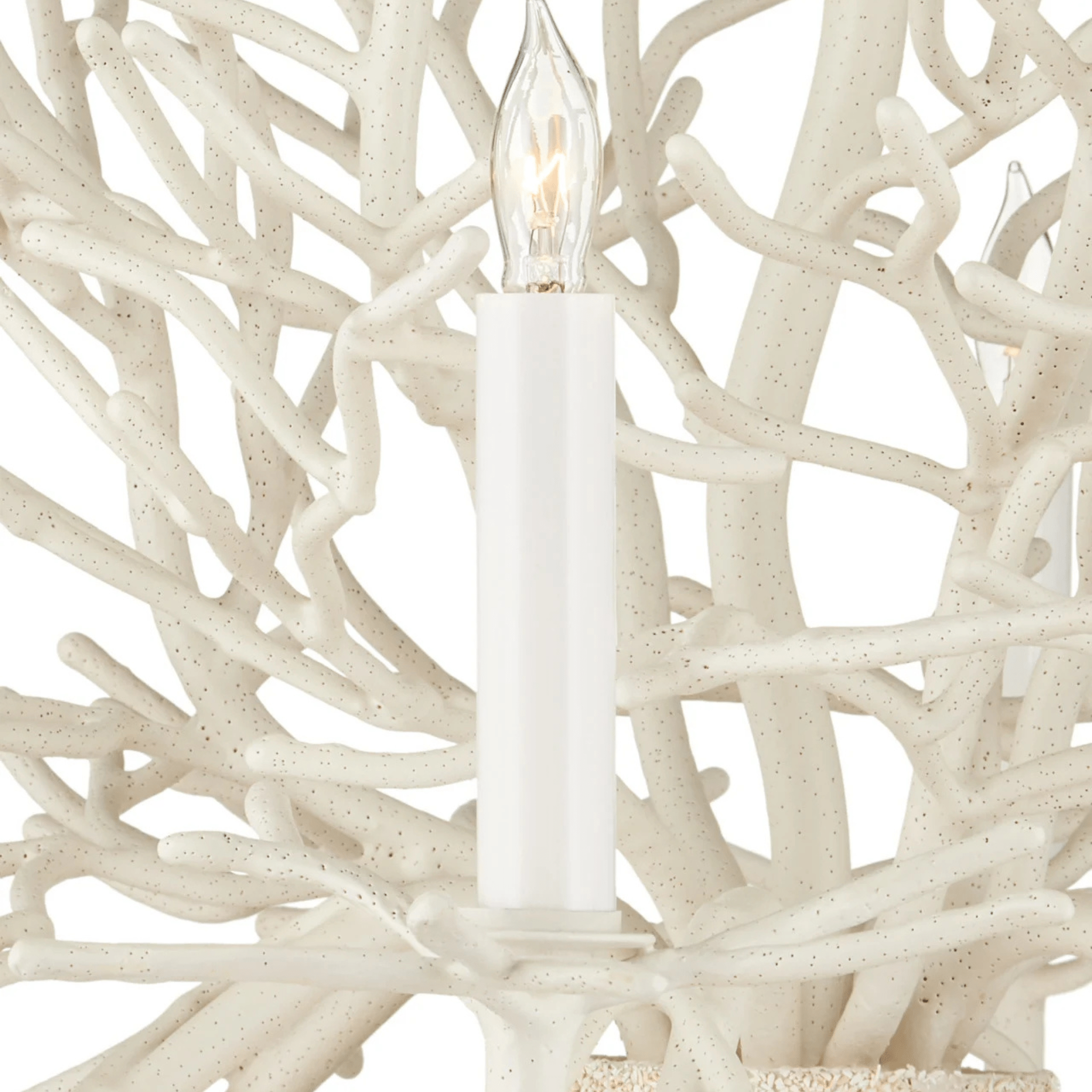 Antique White Coral Small 6 - Light Chandelier - Our Boat House