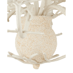 Antique White Coral Small 6 - Light Chandelier - Our Boat House