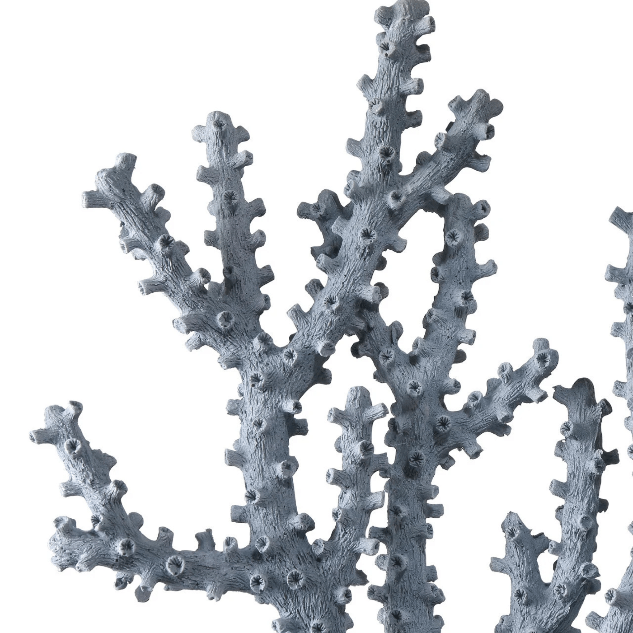 Carmel Blue Coral - Set of Two - Our Boat House