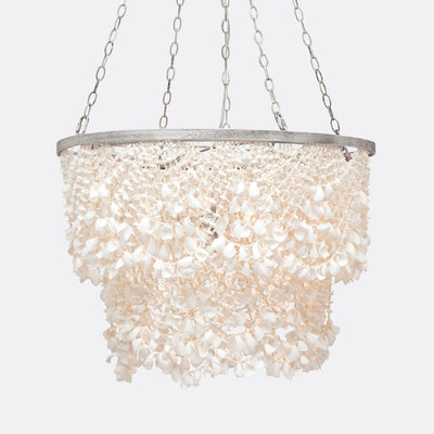 Cassia White Clam Shell Chandelier - Our Boat House