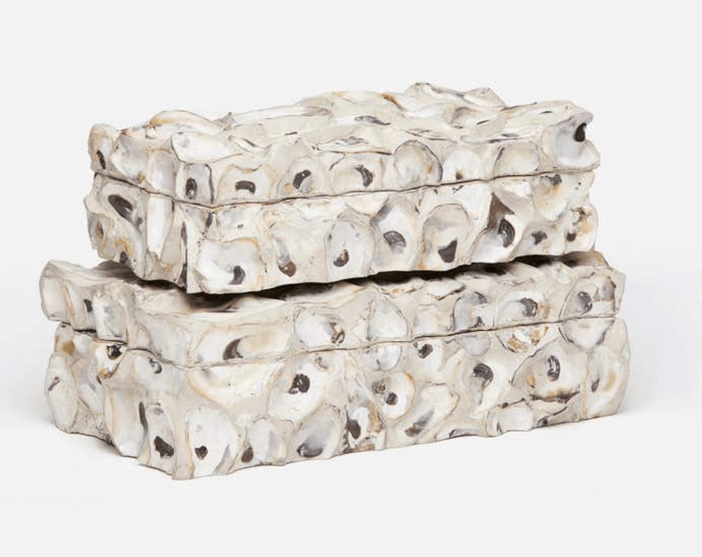 Chelsea Shell Chelsea Oyster Shell Two-Piece Box Set – Our Boat House