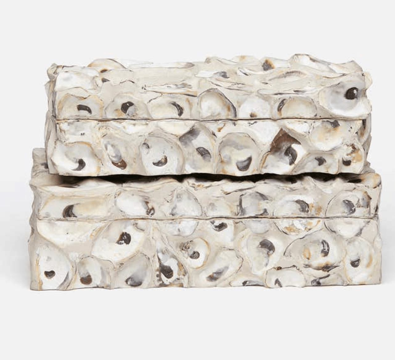 Chelsea Shell Chelsea Oyster Shell Two-Piece Box Set – Our Boat House