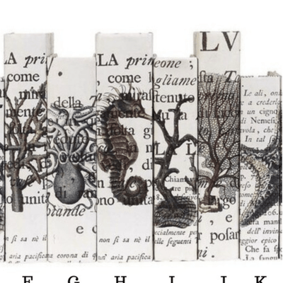 Coastal Series on Cream Parchment with Latin Script 7.5