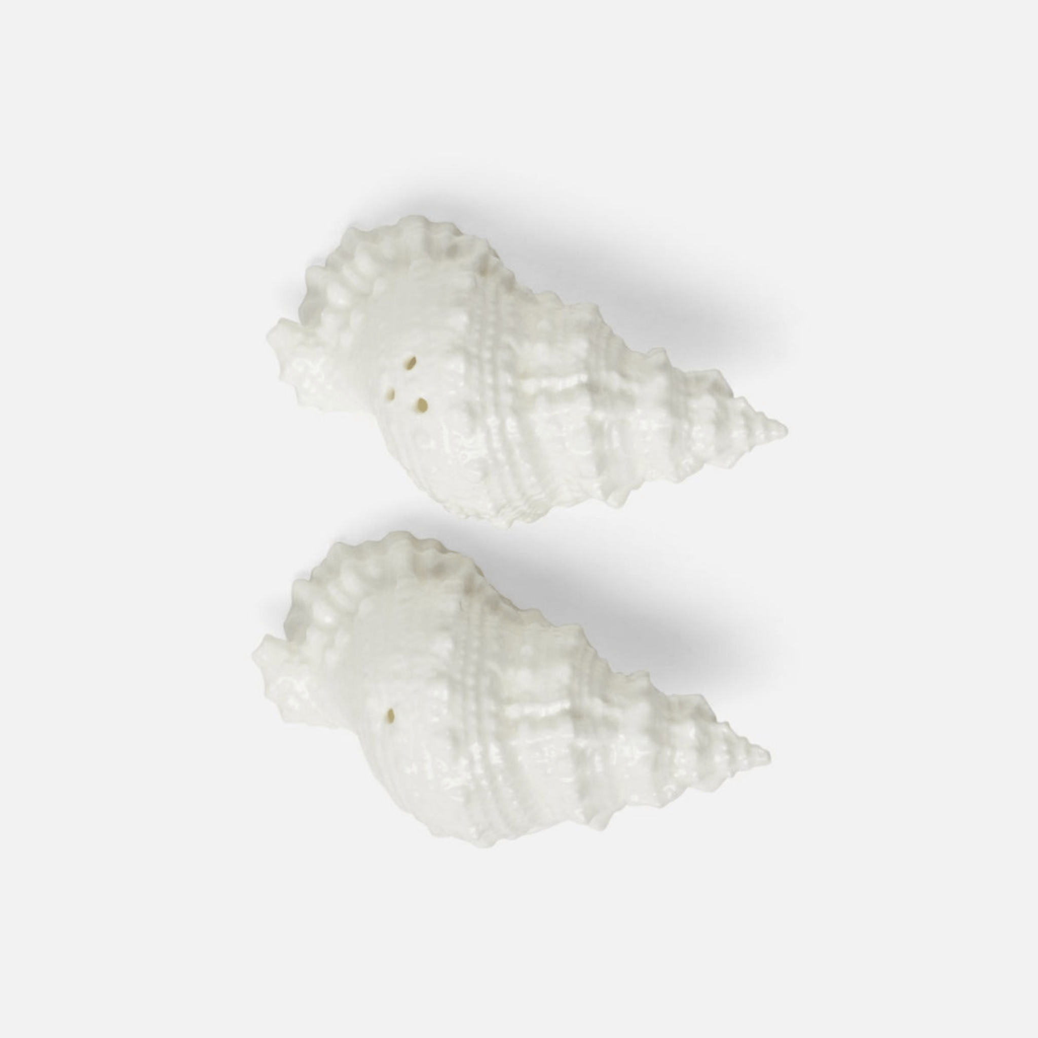 Conch Shell Salt & Pepper Shakers - Our Boat House