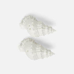Conch Shell Salt & Pepper Shakers - Our Boat House