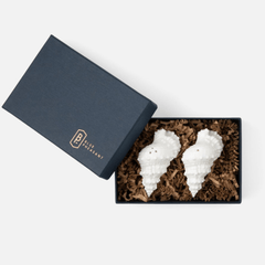 Conch Shell Salt & Pepper Shakers - Our Boat House