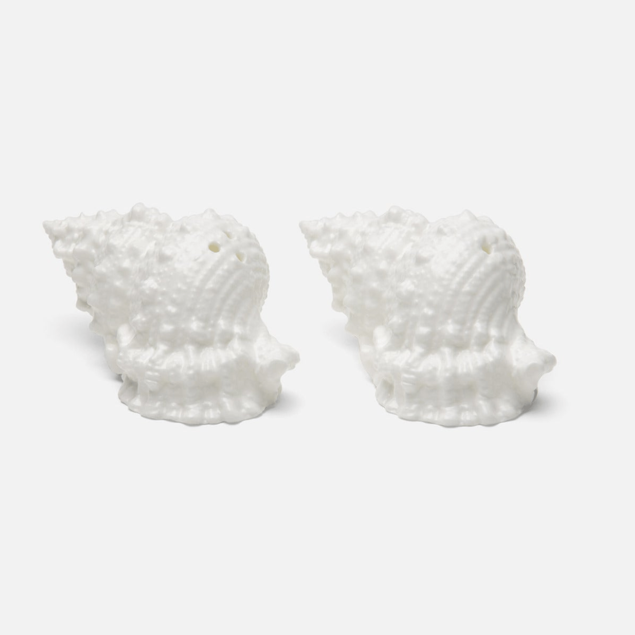 Conch Shell Salt & Pepper Shakers - Our Boat House