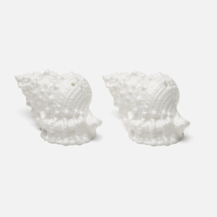 Conch Shell Salt & Pepper Shakers - Our Boat House