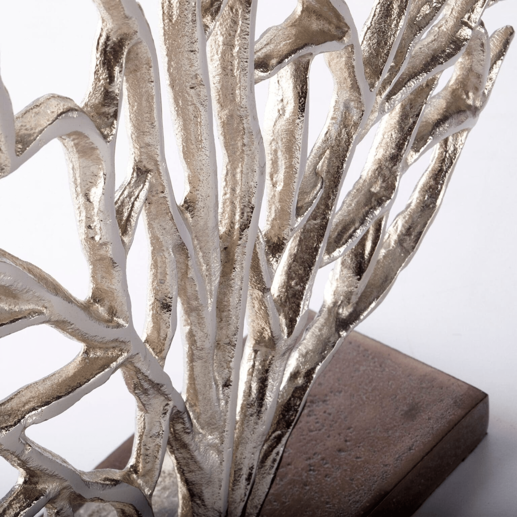 Coral Fan Shelf Decor - Two Sizes - Our Boat House