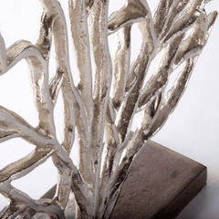 Coral Fan Shelf Decor - Two Sizes - Our Boat House
