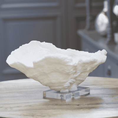 Coral Reef Bowl Large - Our Boat House