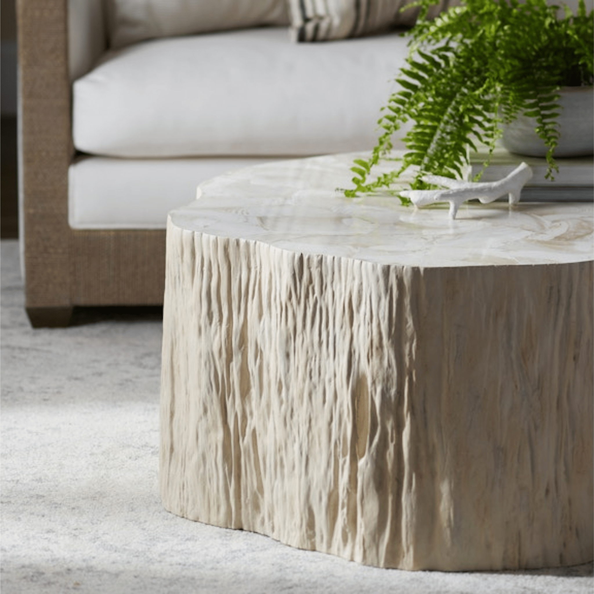 Cota Fossilized Clam Coffee Table - Our Boat House