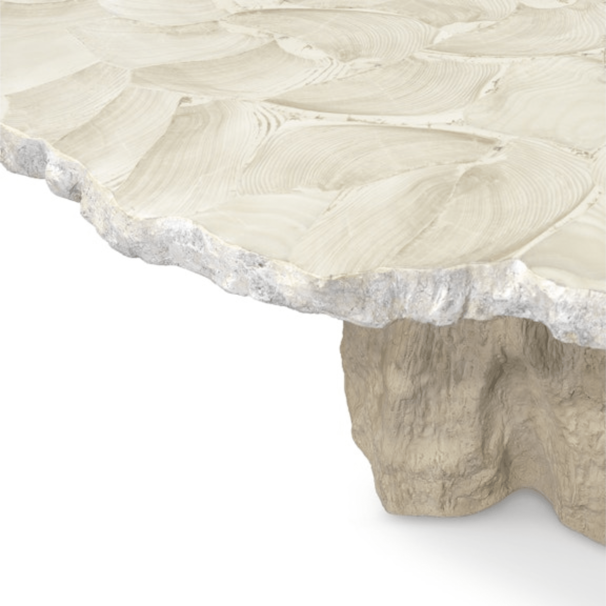 Cota Fossilized Clam Dining Table - Our Boat House