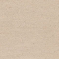 Beige fabric texture swatch