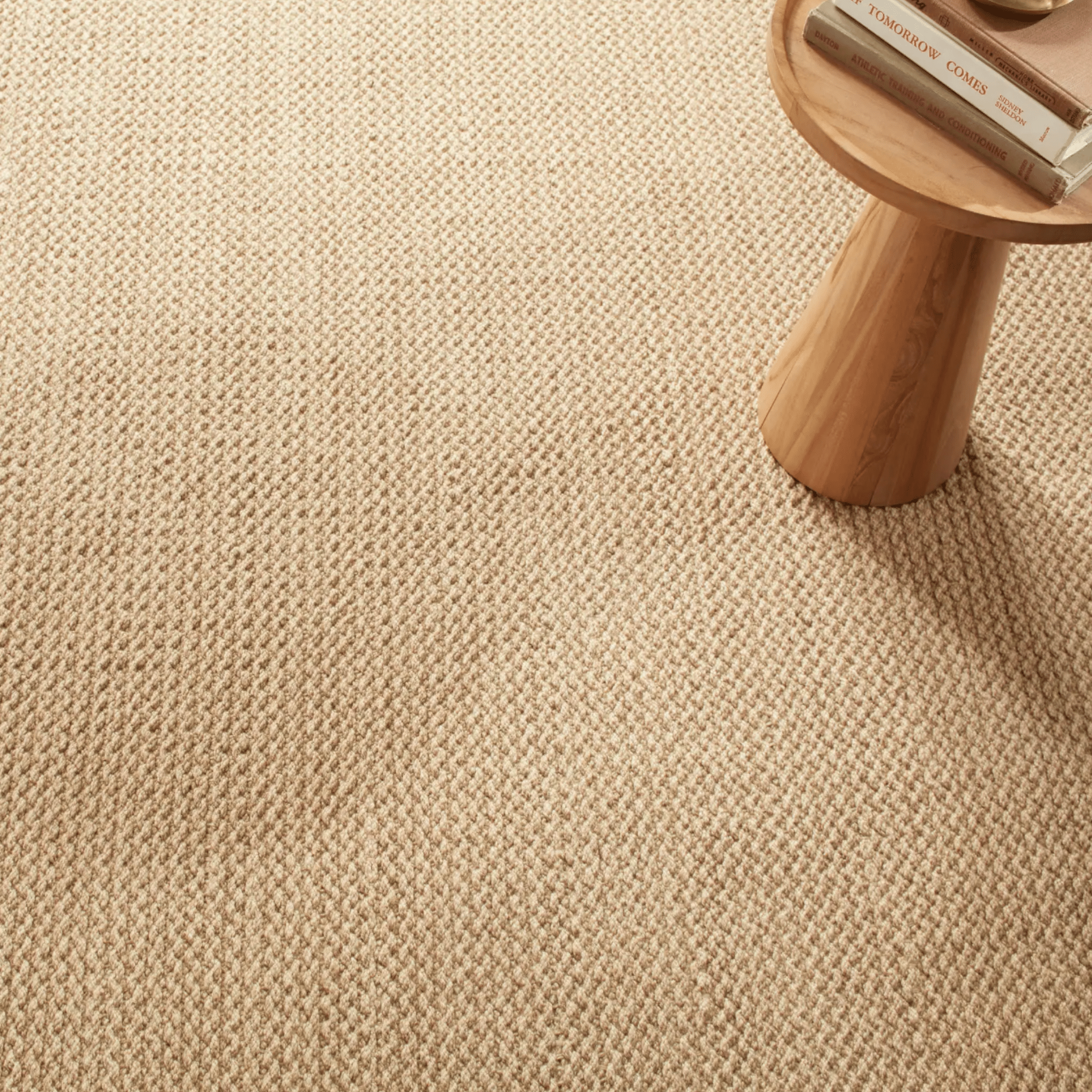 Donovan Handwoven Performance Rug - Natural - coastal inspired home furnishing lifestyle