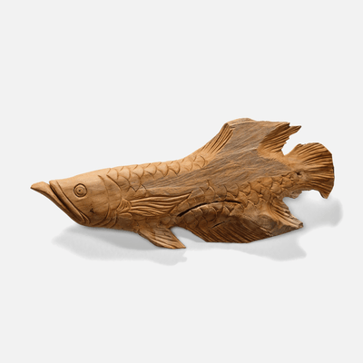 Dory the Fish - Set of Three - Our Boat House