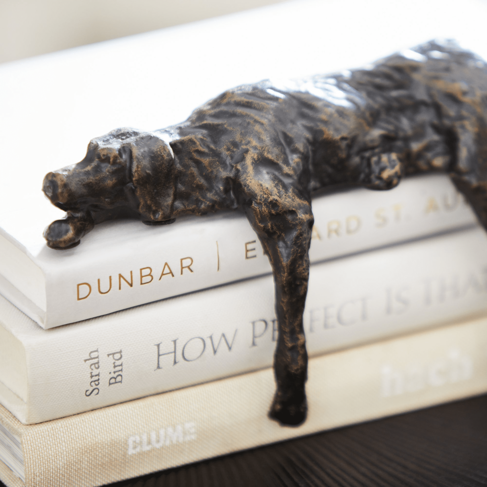 Dune's Nap - Iron Shelf Decor - Our Boat House