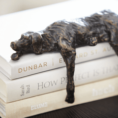Dune's Nap - Iron Shelf Decor - Our Boat House