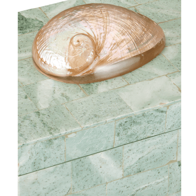 Fawn Abalone Box - Our Boat House