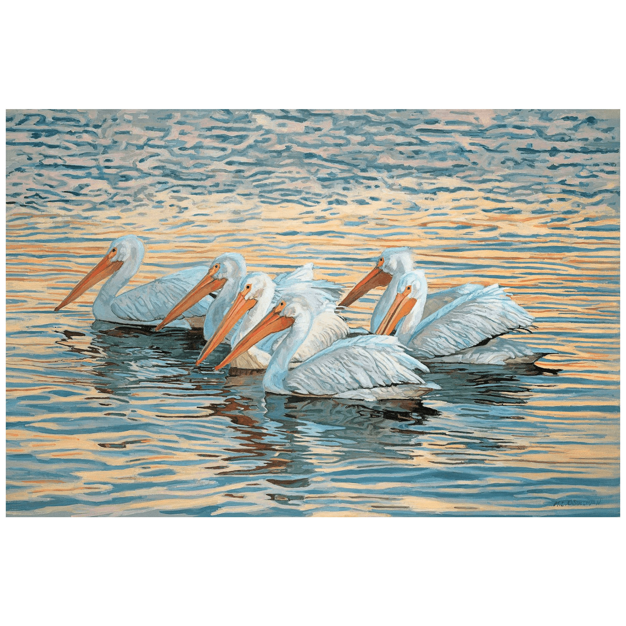 Floating White Pelicans Giclee - Our Boat House