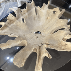 Flores Bleached Teak Flower Root Table Base - Our Boat House