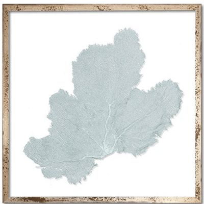 Framed Custom Sea Fan Art (multiple sizes & colors) - Silver Acid Wash Frame - Our Boat House