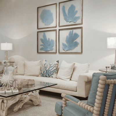 Framed Custom Sea Fan Art (multiple sizes & colors) - Silver Acid Wash Frame - Our Boat House