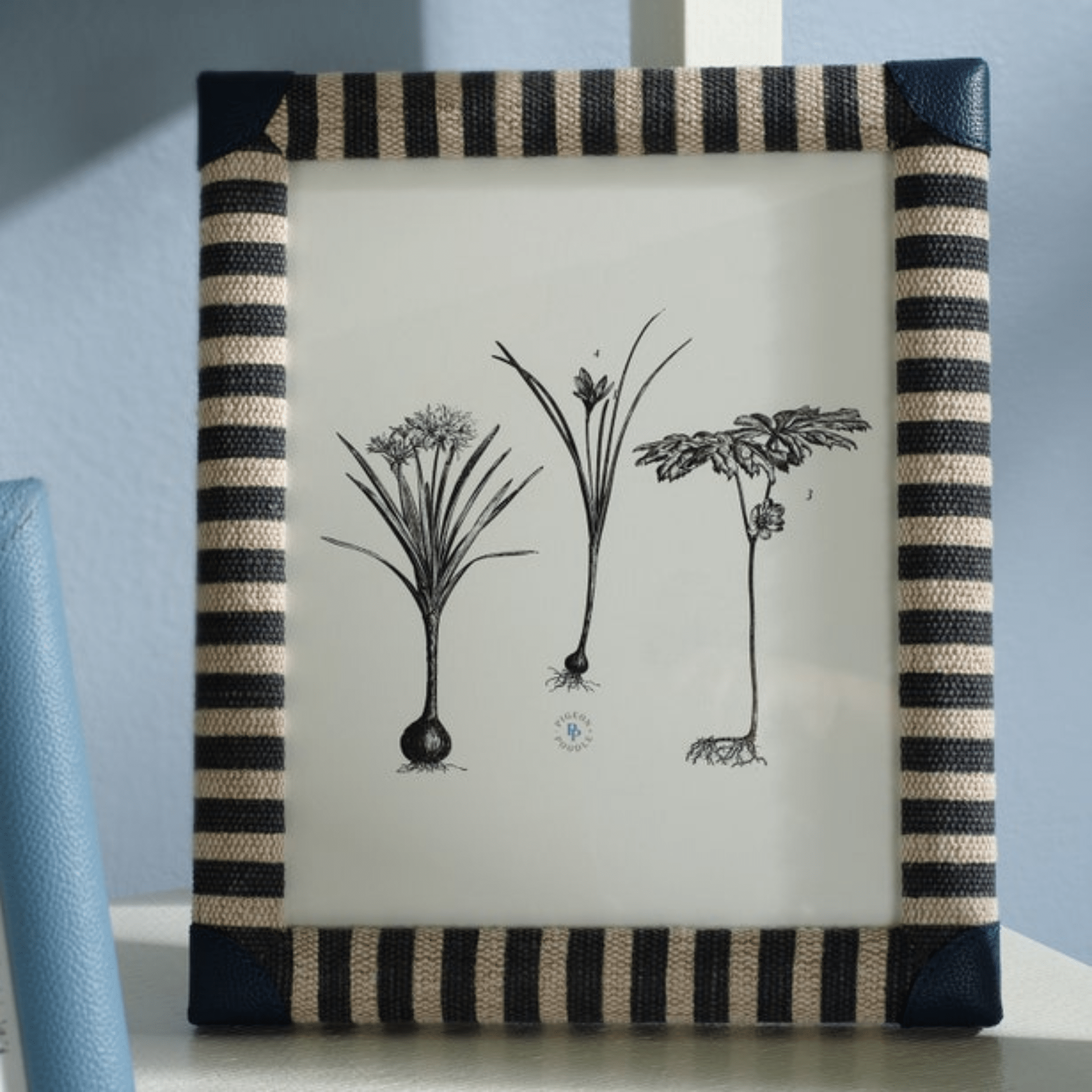 Franklin Picture Frame - Three Sizes - coastal inspired home furnishing close up