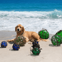 Glass Floats - Authentic Seaglass Floats - Our Boat House