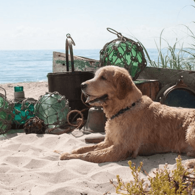 Glass Floats - Authentic Seaglass Floats - Our Boat House