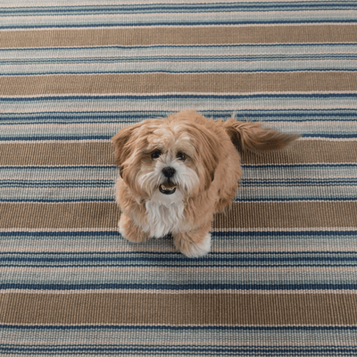 Heron Stripe Indoor/Outdoor Rug - Our Boat House