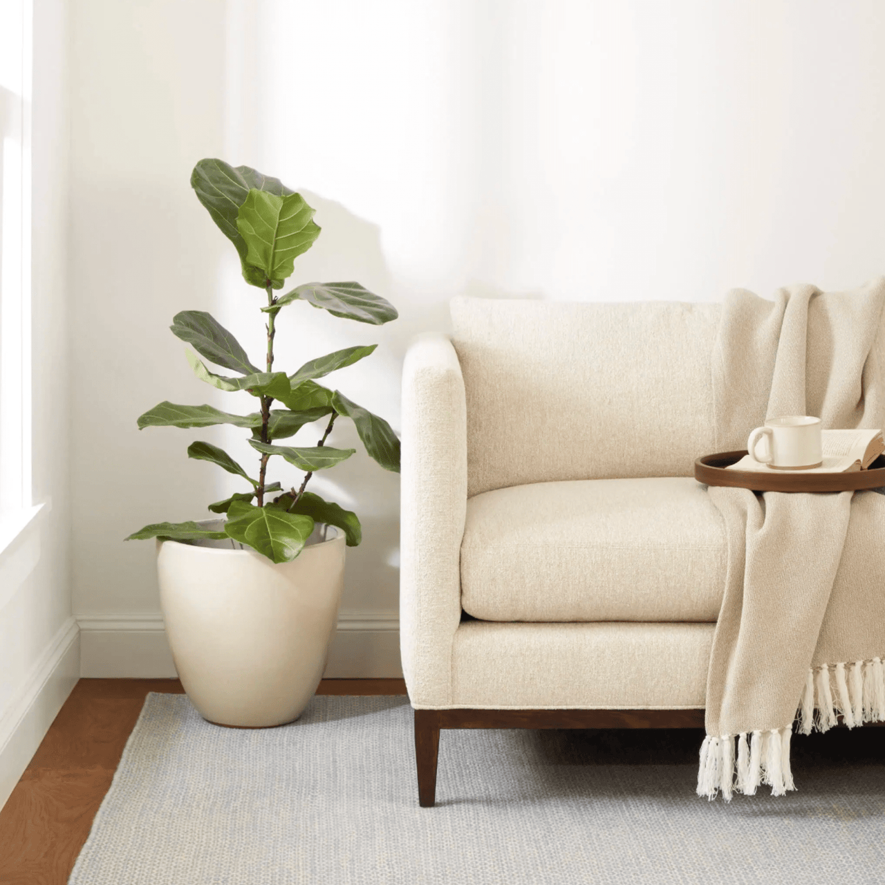 Honeycomb Woven Wool Rug - Soft French Blue & Ivory - Our Boat House