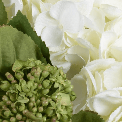 Hydrangea Bud Arrangment - Our Boat House