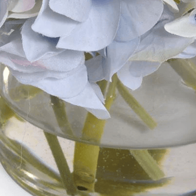 Hydrangea Ranunculus Arrangement - Our Boat House
