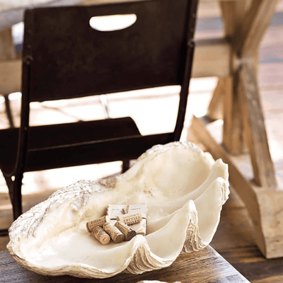 Imperial Clam Large - Our Boat House