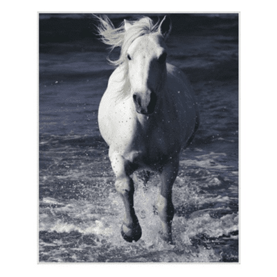 Journey Through Water 42x51 - Framed Giclee - Our Boat House