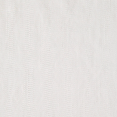 Solid light gray color swatch