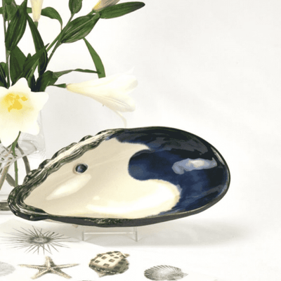 Mussel Shell Bowl - Medium - Our Boat House