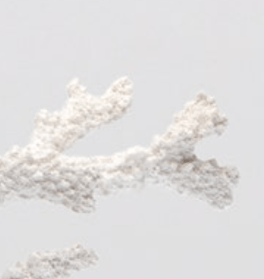 Nova Coral Table Lamp - Our Boat House