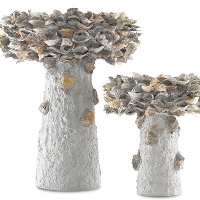 Oyster Shell Bird Bath - Various Sizes - Our Boat House