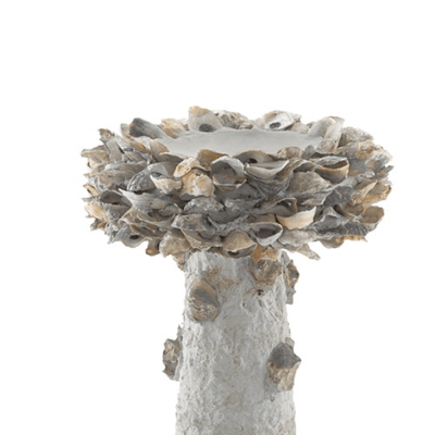 Oyster Shell Bird Bath - Various Sizes - Our Boat House